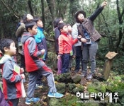 반딧불이 작은도서관, 아동 자연미술 프로그램 운영