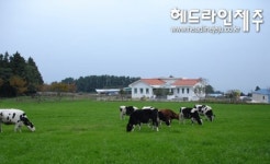 제주 아침미소농원목장, 대한민국 스타팜 체험행사 개최