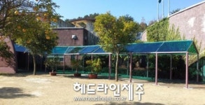 서귀포 감귤박물관, 비가림 시설 구축