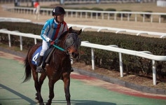 경주마 아랑조아, 녹담만설특별경주서 짜릿한 역전승
