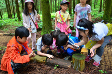 학교.유치원 등에 붉은오름휴양림 무료 개방