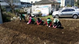 동홍동새마을부녀회, 텃밭 조성작업 및 환경정비 실시