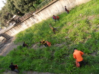 중앙동, 도민체전 대비 범도민 대청결 운동 실시