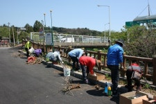 동홍동주민자치위, 산지물쉼터에 넝쿨식물 등 식재