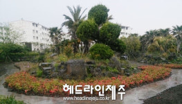 서귀포시, 예담노인요양병원 나눔숲 조성