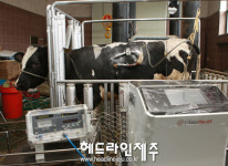 제주대, 국내개발 심실보조장치 첫 동물실험 성공