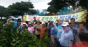 제주감협 표선지점, 고품질 감귤생산 열매솎기사업 발대식 개최