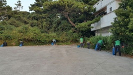 효돈동, 클린데이 쇠소깍 일대 환경정비