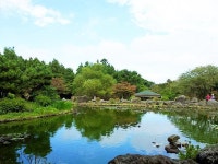 절물자연휴양림, 제주 최우수 공영관광지 선정