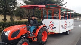 제주시티투어버스 운행노선에 경주마육성목장 추가