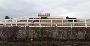 제주시티투어버스 운행노선에 경주마육성목장 추가