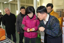 현을생 서귀포시장, 1차산업 민생현장 방문