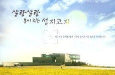 제주 휘닉스아일랜드, 새봄 패키지 출시
