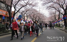 제12회 서사라문화거리축제...사랑벚꽃 전농로의 봄날