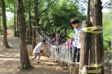서귀포자연휴양림, 유아숲 체험원 조성 돌입