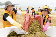 자원봉사자 500명이 만드는 곱닥한 제주바당