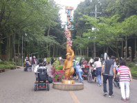 제주 절물자연휴양림 휴가철 이용객 급증...특별관리체제 돌입