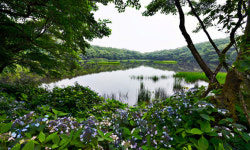 국제환경사진전 개최...제주 수려한 환경 한.중.일에 알린다