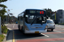 제주 공영버스 29대→118대 증차...운행노선 확대