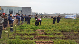 제주동부농업기술센터, 당근 개발 품종 평가회 개최