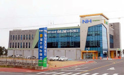 제주시농협 하나로유통센터, 임시사용기간 1년 연장