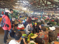 제주풍광-문화, 대만 관광객 홀리다...TV 여행 프로그램 제주특집 팸투어