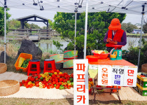 마을협동조합 모두락(樂), 신촌리 일대 농식품 직거래장터 개장