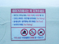 밤새 난장판 탑동 테마거리...아침 산책 시민들 헉!