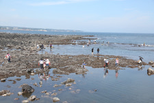 무더위 달랜 하례1리 에코파티 성황…명품 자연·인심 가득