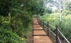 제주시, 사라봉공원 산책로.운동시설 정비