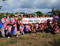 생활개선제주시연합회, 노지감귤 열매솎기 봉사활동 시작
