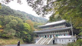 마음 쉬어가는 고품격 힐링코스...제주불교성지순례길 인욕의 길개장