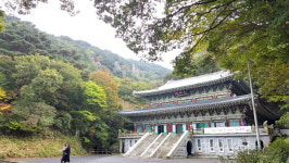 마음 쉬어가는 고품격 힐링코스...제주불교성지순례길 인욕의 길개장