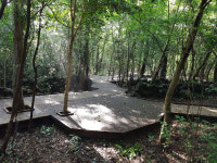 서귀포자연휴양림내 무장애 나눔숲길조성된다