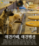 1월 제주도 겨울여행 10선...꼭 가볼만한 추천 명소는?