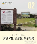 2월 제주도 여행 10선...놓치면 후회할 관광명소는?