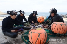 제주 해녀문화 가치 전국화...문화트레킹, 체험프로그램 연중 운영