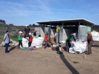 구좌읍, 하도리부녀회 영농폐기물 수거 활동