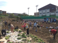제주도지속협, 빗물활용 주말농장 생명텃밭 개장