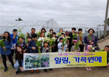 강정청소년문화의집, 5월 가족프로그램 힐링, 가족원예 진행