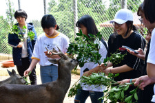 서귀중앙여중, 제주야생동물구조센터 이색 야생동물 체험학습