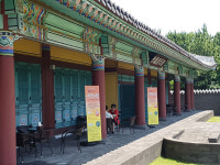 제주 서복전시관 무료 노천카페 오픈 불로차 한잔 즐겨요