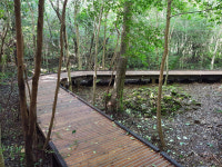 서귀포자연휴양림 푸리롱 무장애나눔숲길 개장