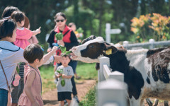 주말엔 팜팜버스 타고 가족과 함께 리얼 제주 투어~
