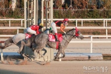 제주 최우수 경주마 생산 목장에 태명목장 선정