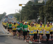 2019 제주 절주.금연 건강달리기 개최