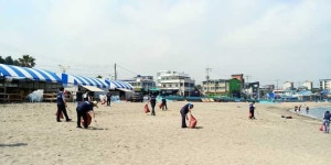 제주지방조달청, 이호테우해변 환경 정화활동 실시
