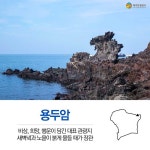 마을 이장님이 추천하는 제주 용담동 흥운.어영마을 숨은 명소