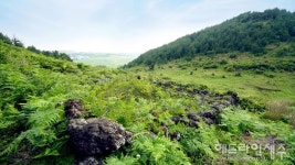 7월 제주도 여행 10선...놓치면 후회할 명소.맛집은?