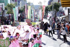 2019 서귀포 칠십리축제 퍼레이드 참가자 전국 공모